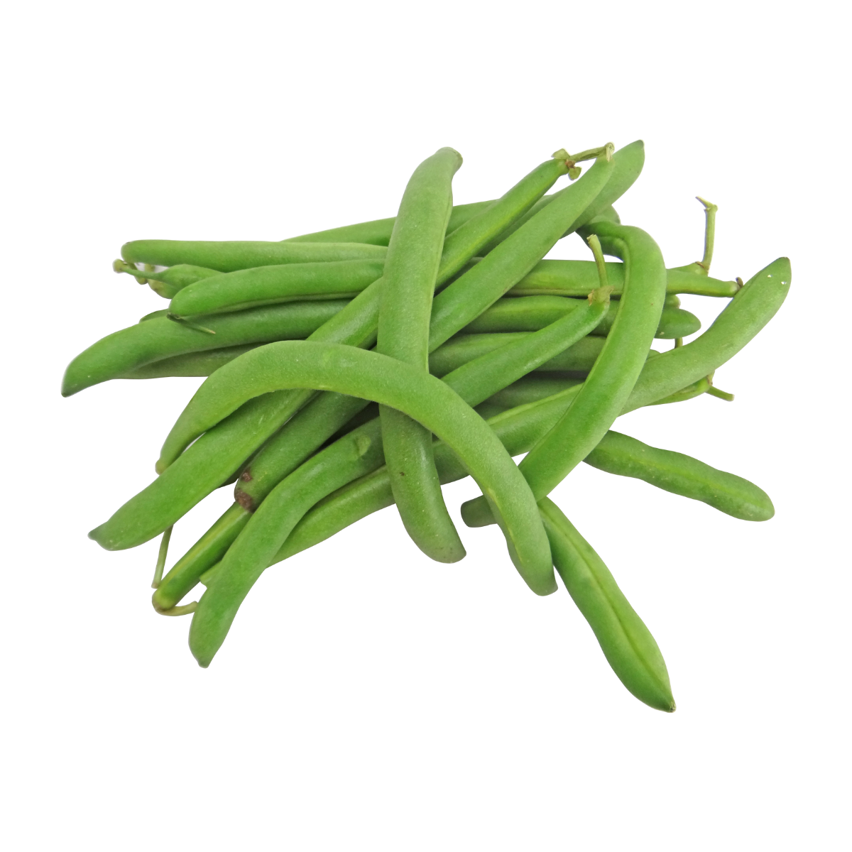 Organic Green Bean