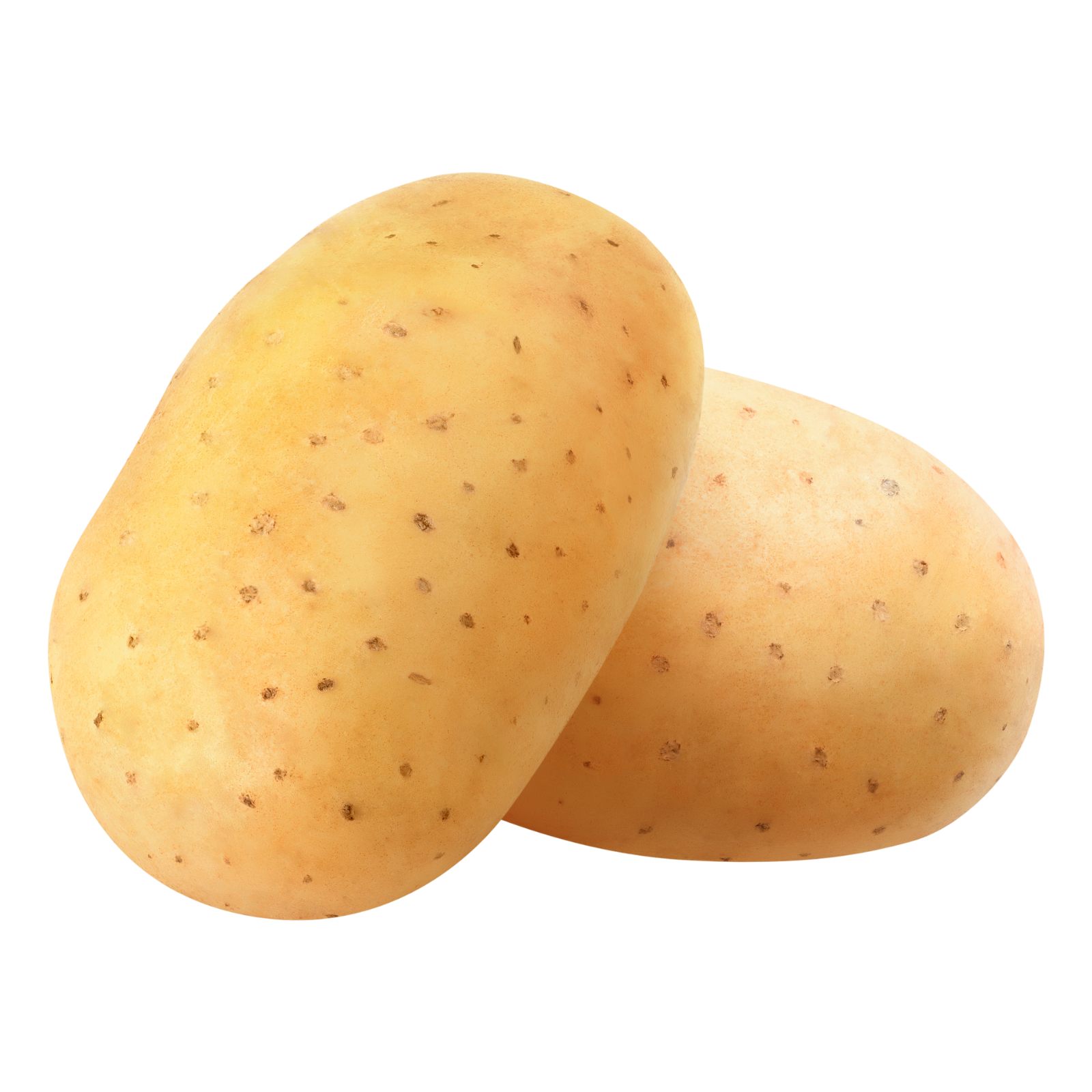 Organic Russet Potato